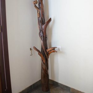 DSC_5540 DSC_5540